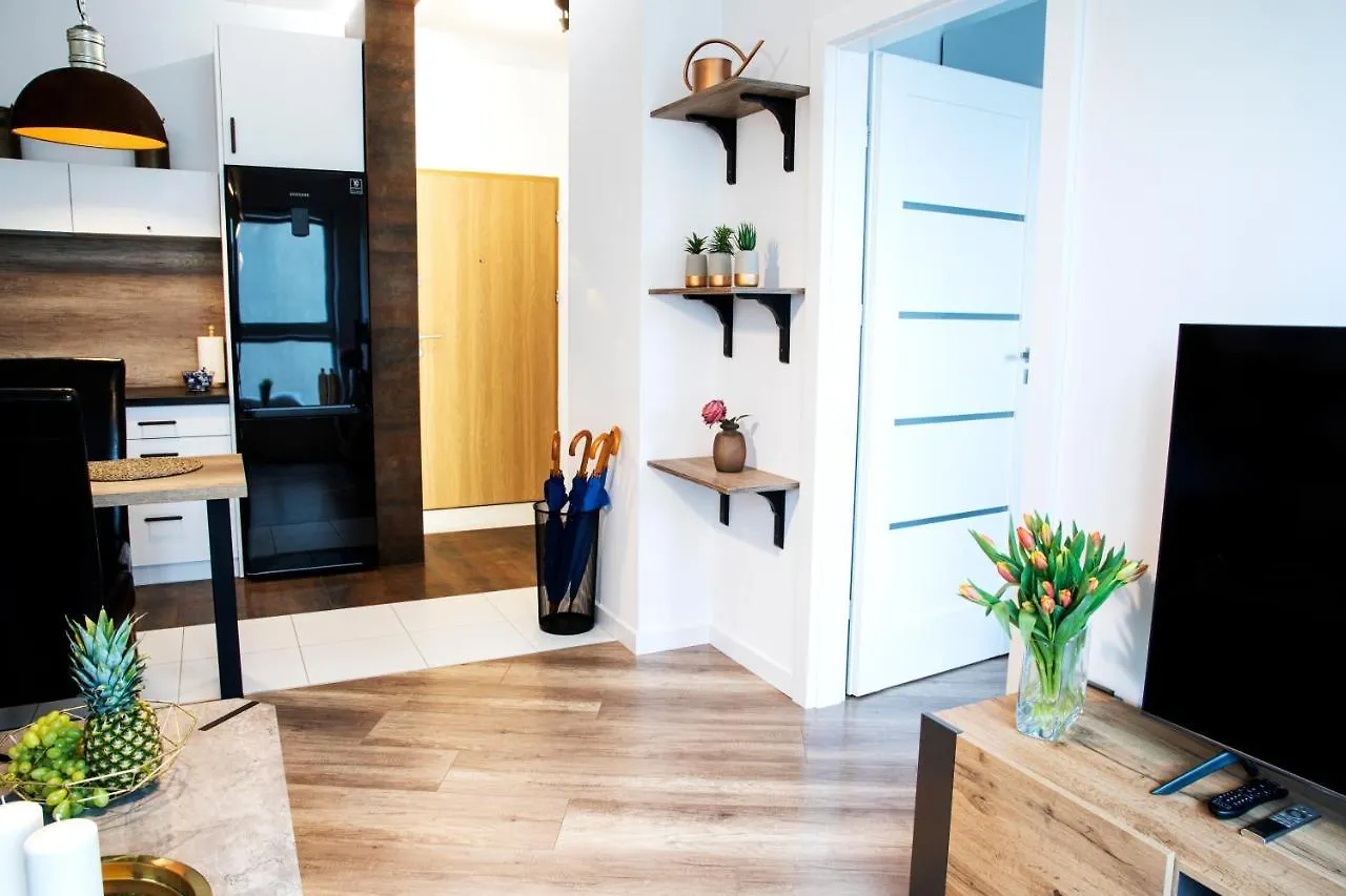 Maya'S Flats & Resorts 42 - Walowa St Danzica Appartamento
